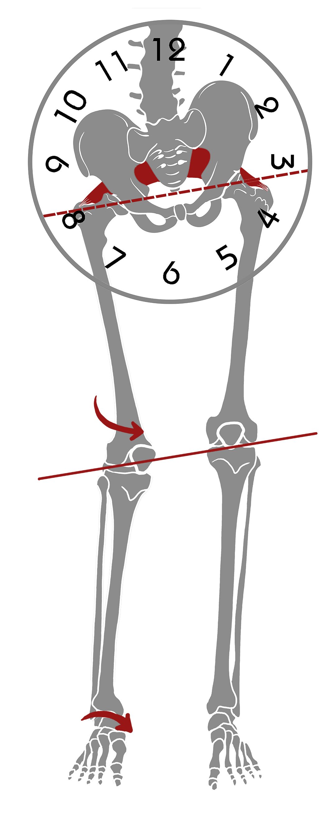 SPAT : Soutaihou-based Pelvic Adjustmen… Pelvic Health Products We Love – Part 2
